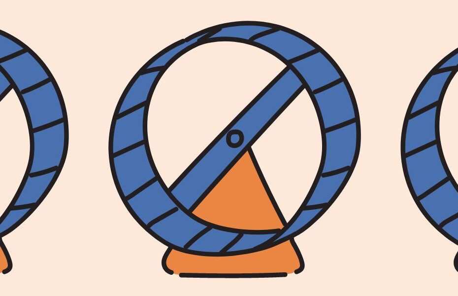 Everything You Need to Know About Hamster Wheels